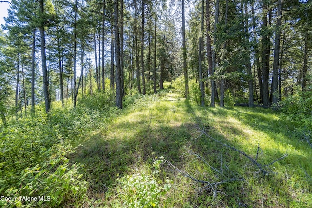 NNA E Moscow Bay Rd, Harrison, ID 83833 - photo 22
