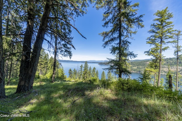 NNA E Moscow Bay Rd, Harrison, ID 83833 - photo 23