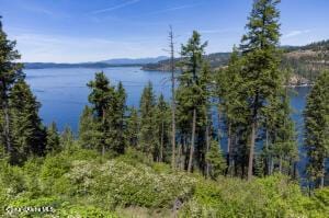 NNA E Moscow Bay Rd, Harrison, ID 83833 - photo 25
