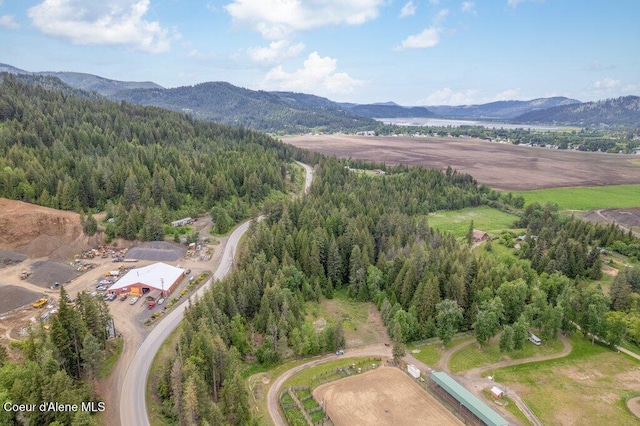 NKA Highway 5, Saint Maries, ID 83861 - photo 2