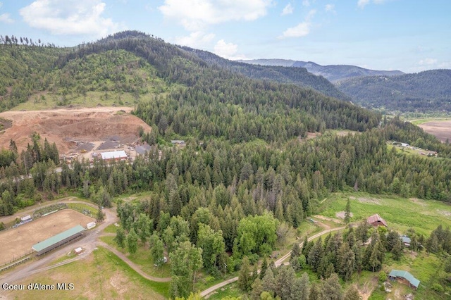 NKA Highway 5, Saint Maries, ID 83861 - photo 3