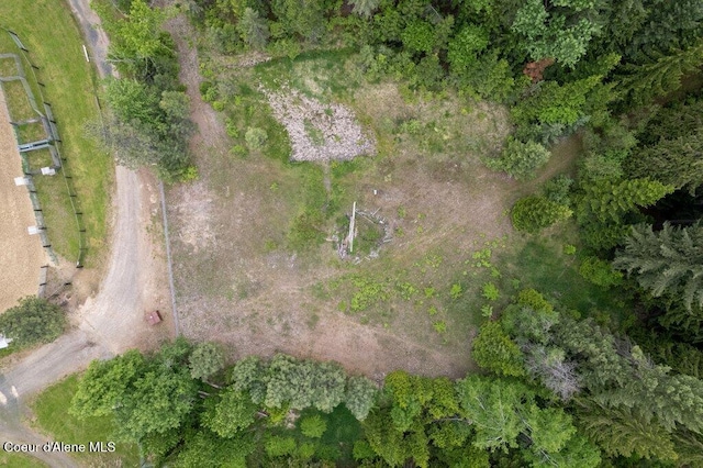 NKA Highway 5, Saint Maries, ID 83861 - photo 4