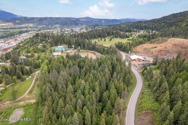 NKA Highway 5, Saint Maries, ID 83861 - photo 5