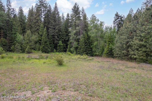 NKA Highway 5, Saint Maries, ID 83861 - photo 8