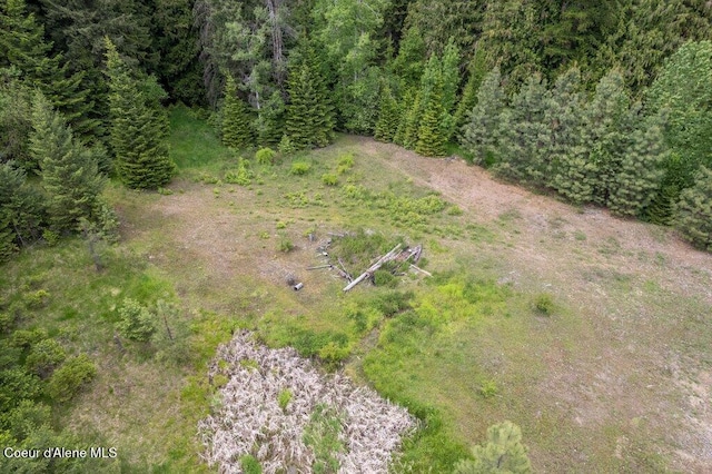 NKA Highway 5, Saint Maries, ID 83861 - photo 9