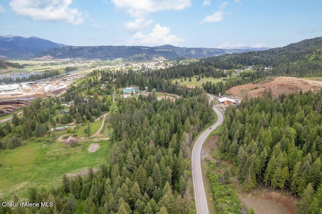 NKA Highway 5, Saint Maries, ID 83861 - photo 10