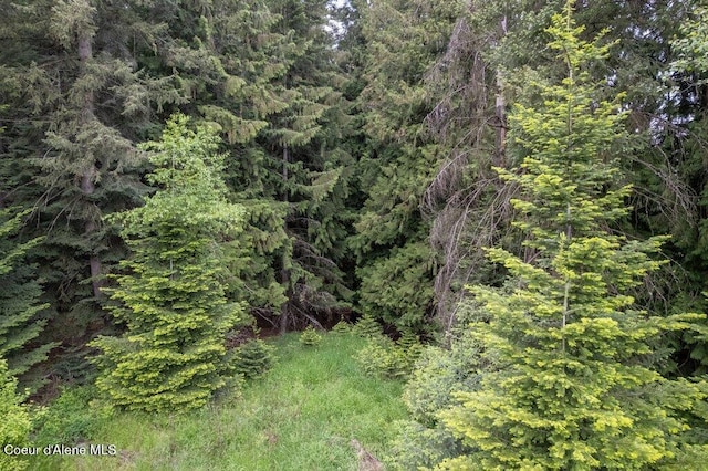 NKA Highway 5, Saint Maries, ID 83861 - photo 14