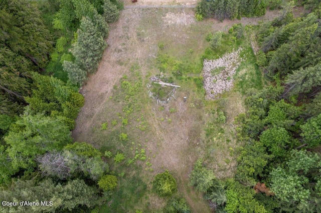 NKA Highway 5, Saint Maries, ID 83861 - photo 15