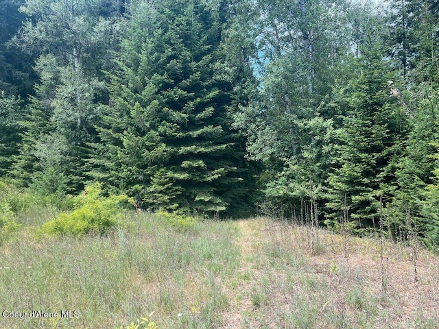 NKA Highway 5, Saint Maries, ID 83861 - photo 17