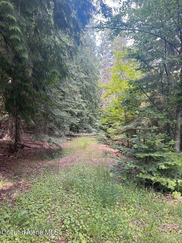 NKA Highway 5, Saint Maries, ID 83861 - photo 18