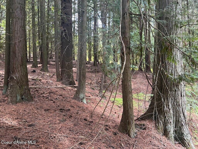 NKA Highway 5, Saint Maries, ID 83861 - photo 19
