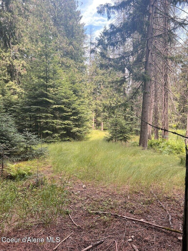 NKA Highway 5, Saint Maries, ID 83861 - photo 20