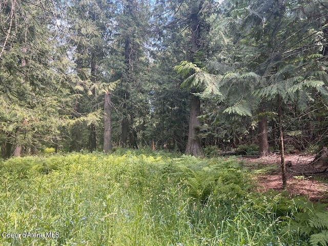 NKA Highway 5, Saint Maries, ID 83861 - photo 22