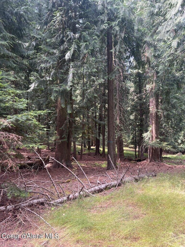 NKA Highway 5, Saint Maries, ID 83861 - photo 23