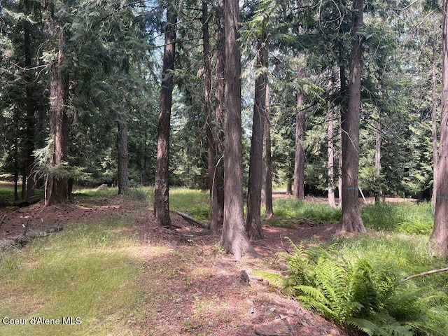 NKA Highway 5, Saint Maries, ID 83861 - photo 24