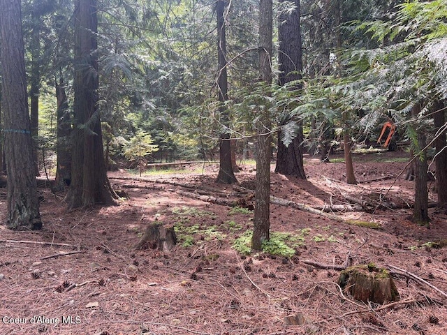 NKA Highway 5, Saint Maries, ID 83861 - photo 25
