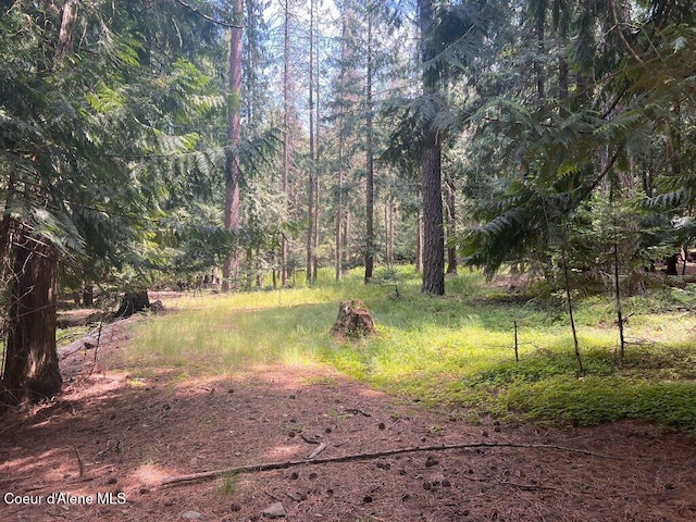 NKA Highway 5, Saint Maries, ID 83861 - photo 27