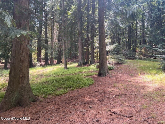 NKA Highway 5, Saint Maries, ID 83861 - photo 28