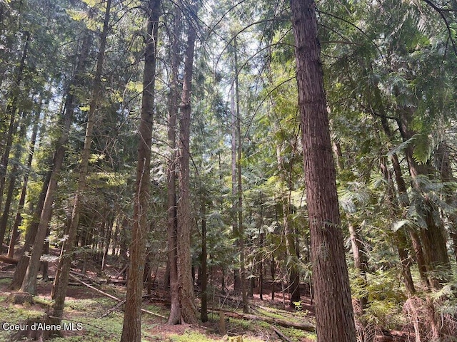 NKA Highway 5, Saint Maries, ID 83861 - photo 29