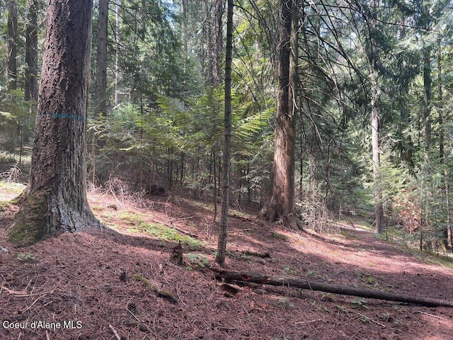 NKA Highway 5, Saint Maries, ID 83861 - photo 30
