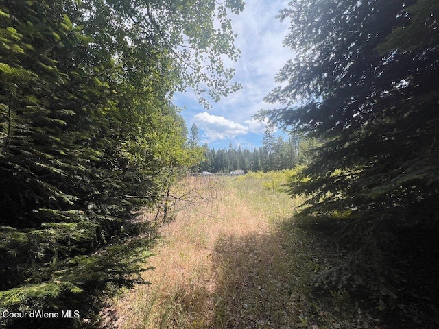 NKA Highway 5, Saint Maries, ID 83861 - photo 33