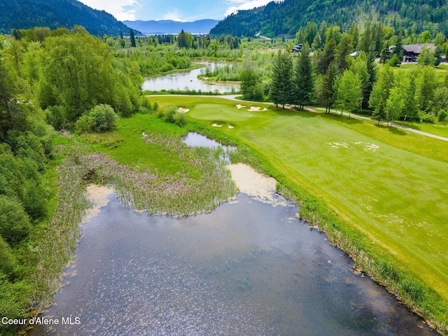 NNA Marie Victoria Court, Sandpoint, ID 83864 - photo 15