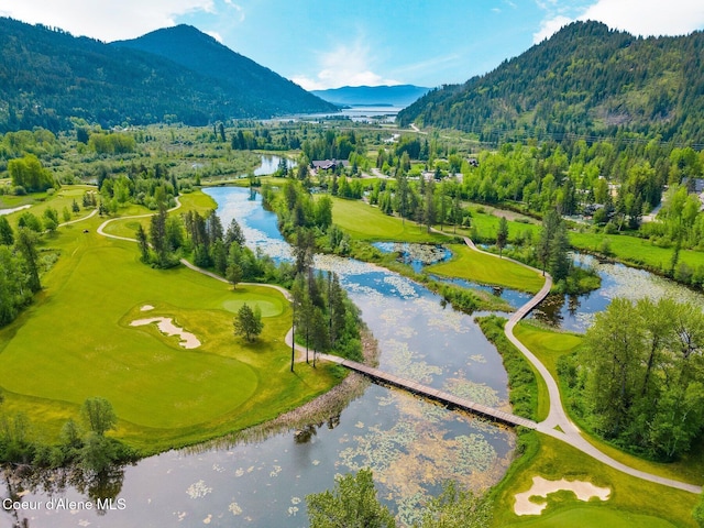 NNA Marie Victoria Court, Sandpoint, ID 83864 - photo 4