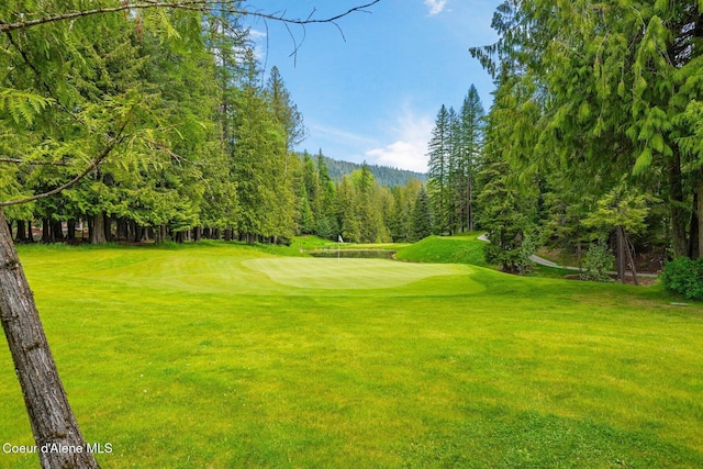NNA Marie Victoria Court, Sandpoint, ID 83864 - photo 23