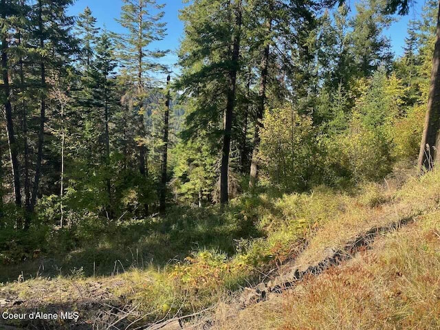 8713 E Waxwing Way, Saint Maries, ID 83861 - photo 23