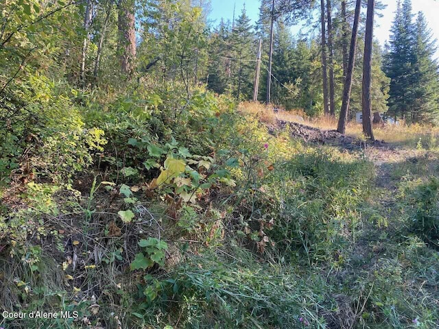8713 E Waxwing Way, Saint Maries, ID 83861 - photo 28