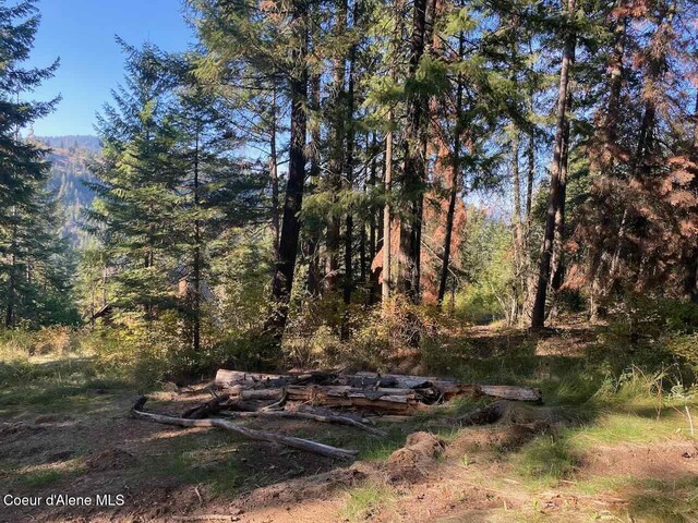 8713 E Waxwing Way, Saint Maries, ID 83861 - photo 37