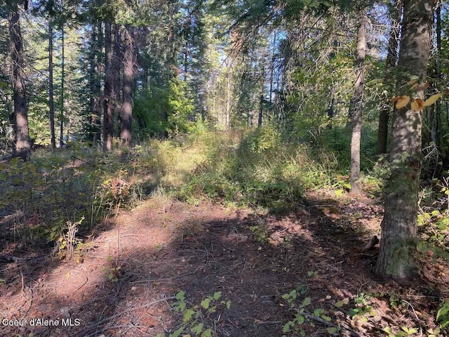 8713 E Waxwing Way, Saint Maries, ID 83861 - photo 38