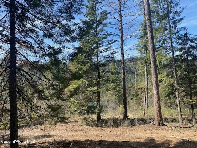 8713 E Waxwing Way, Saint Maries, ID 83861 - photo 42