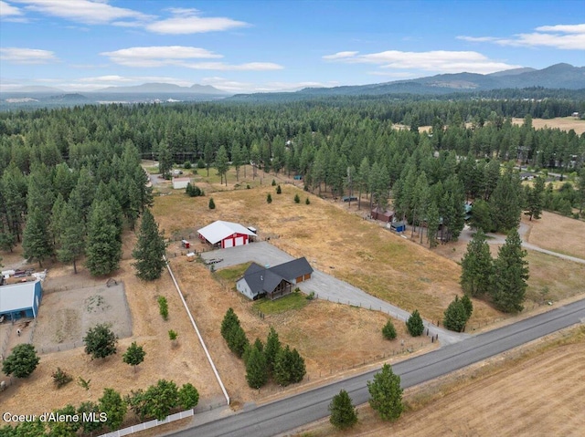 2239 E Glacier Rd, Hayden, ID 83835 - photo 6