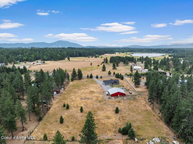 2239 E Glacier Rd, Hayden, ID 83835 - photo 69