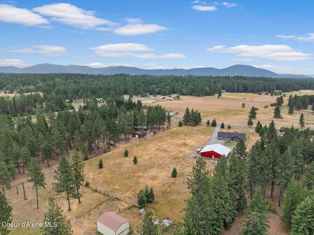 2239 E Glacier Rd, Hayden, ID 83835 - photo 70