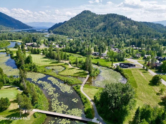 86 Marie Victoria Ct, Sandpoint, ID 83864 - photo 4