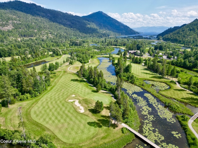 86 Marie Victoria Ct, Sandpoint, ID 83864 - photo 41