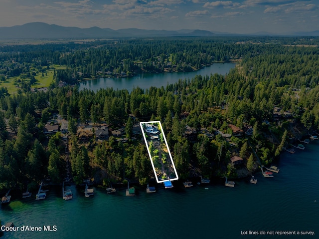 10536 N Lakeview Dr, Hayden Lake, ID 83835 - photo 30