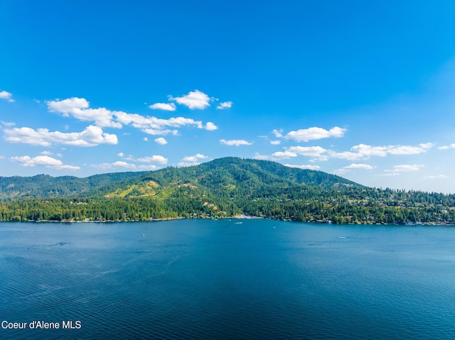 10536 N Lakeview Dr, Hayden Lake, ID 83835 - photo 33