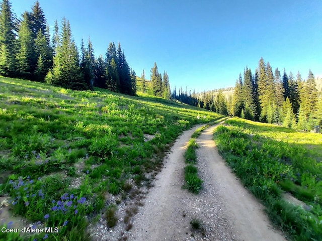 Crooked River Rd, Orogrande, ID 83525 - photo 3