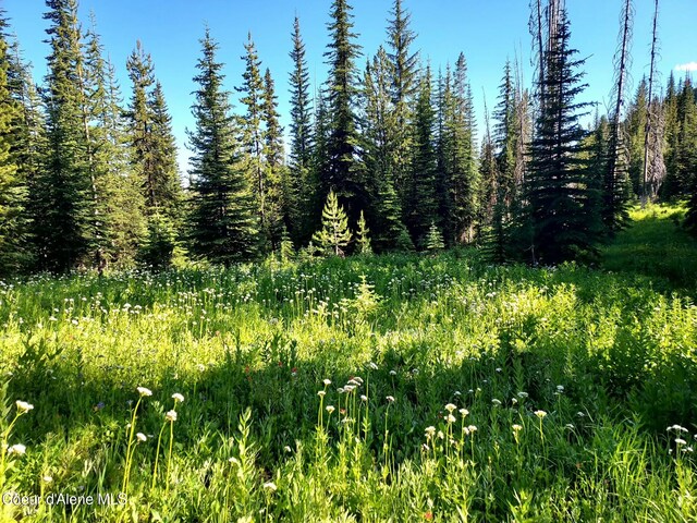 Crooked River Rd, Orogrande, ID 83525 - photo 4