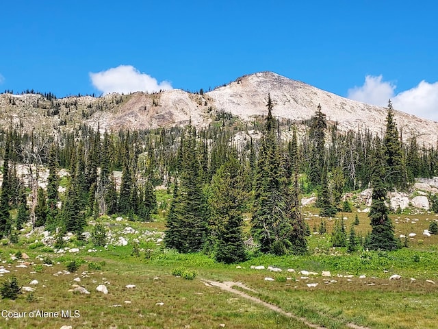 Crooked River Rd, Orogrande, ID 83525 - photo 1