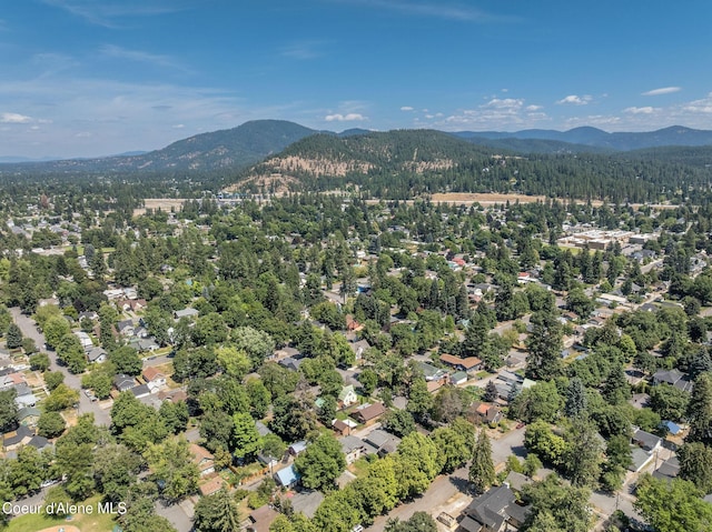 814 E Montana Ave, Coeur Dalene, ID 83814 - photo 48