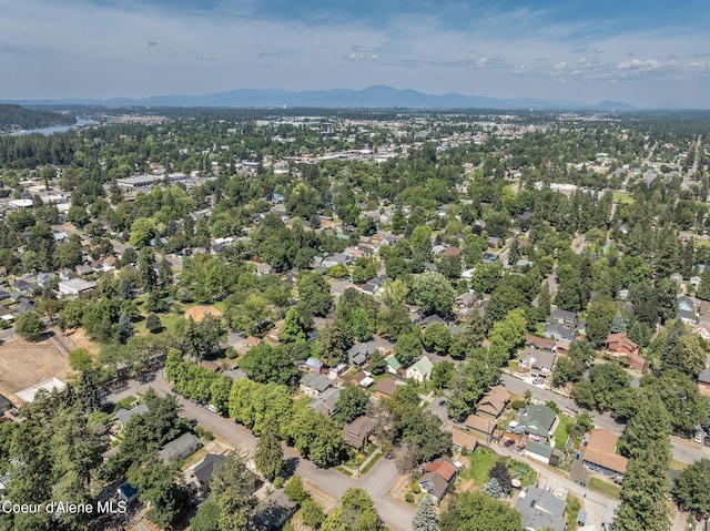 814 E Montana Ave, Coeur Dalene, ID 83814 - photo 50