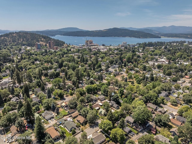 814 E Montana Ave, Coeur Dalene, ID 83814 - photo 52