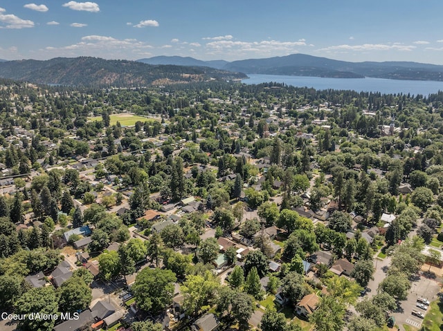814 E Montana Ave, Coeur Dalene, ID 83814 - photo 53