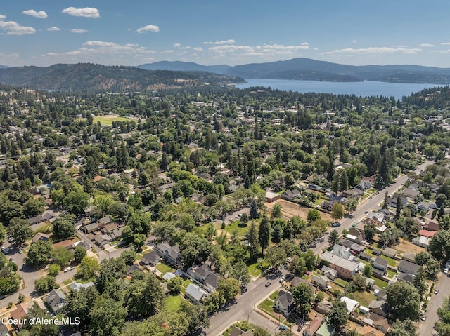 814 E Montana Ave, Coeur Dalene, ID 83814 - photo 54