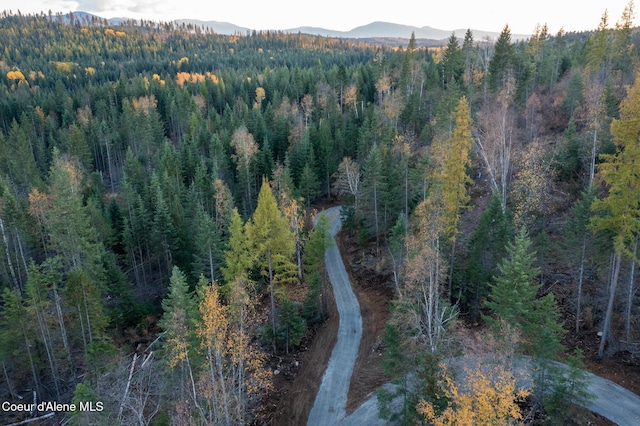 PARCEL2 Crosswhite Rd, Careywood, ID 83809 - photo 1