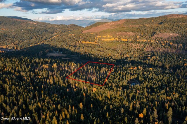 PARCEL2 Crosswhite Rd, Careywood, ID 83809 - photo 3